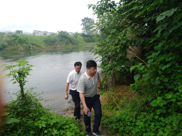 推进水生态文明建设,6月5日,涟源市杨市镇党委书记刘五洋带队对辖区内