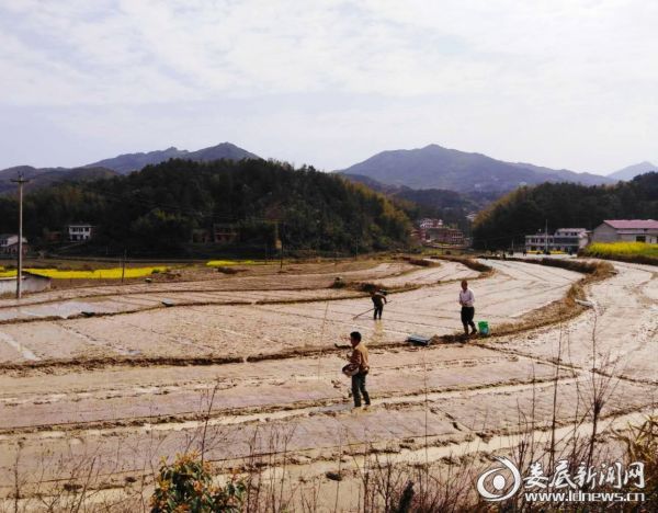 沙塘乡紧抓农时种粮大户忙春耕