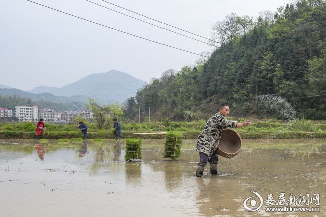 沙塘乡:春回暖大地,田间忙春耕