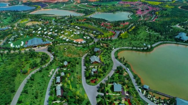 弥勒太平湖森林小镇绿化美化彩化香化荒山变金山