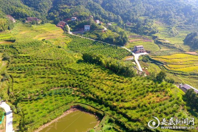 传承红色文化 做活红色文章——双峰县井字镇着力建设和森湖湘风情
