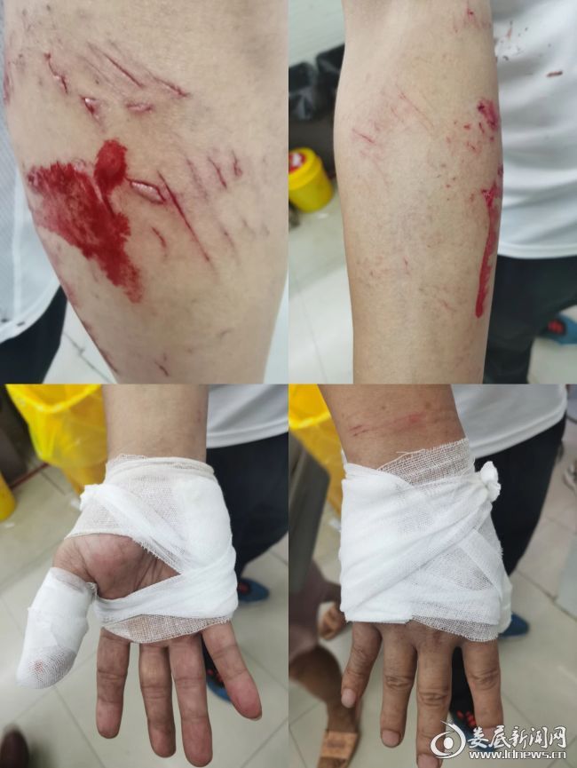 为了秋日朗朗 ——万宝派出所民辅警惊心动魄擒毒贩