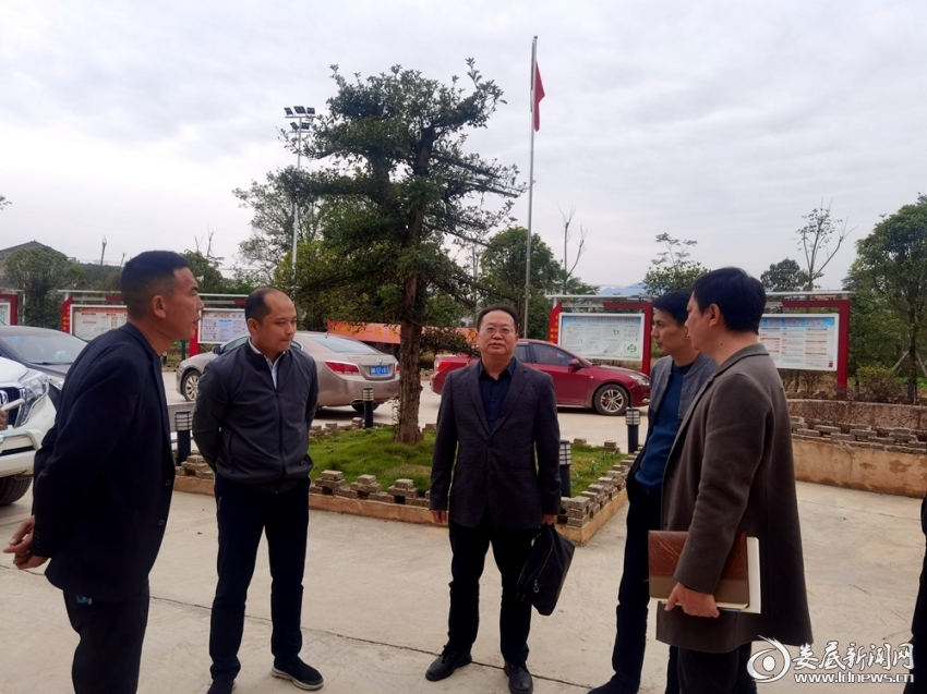 娄星区应急管理局调研水洞底镇应急管理和安全生产工作