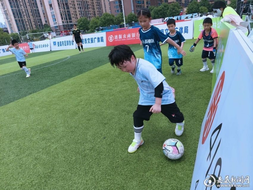 微信图片_20260612131533_65_276