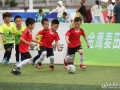 图说丨娄底幼超嘉年华，绿茵小将“全力以赴”