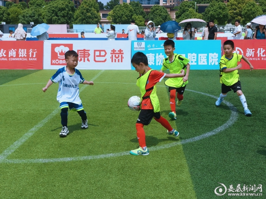IMG_20260614_105830