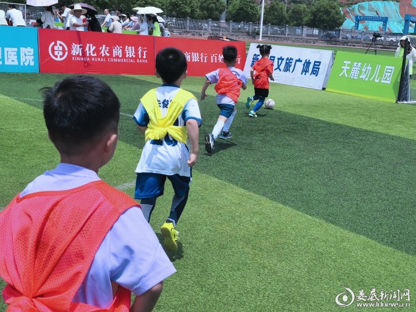 IMG_20260614_114452