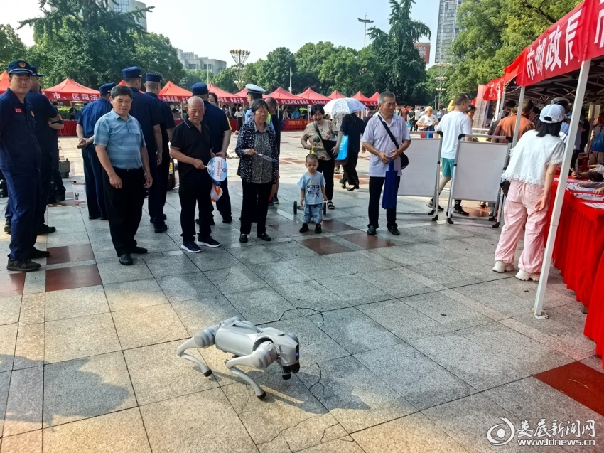 微信图片_20260617085505_193_216
