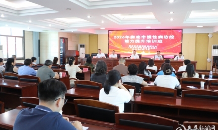 娄底市举办2026年慢性病防控能力提升培训班