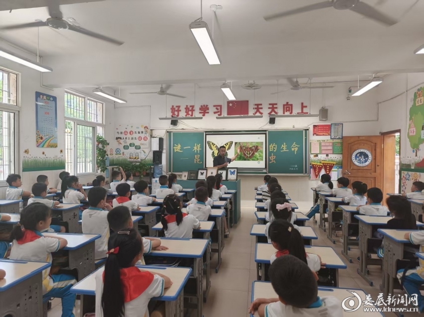 微信图片_20260618104848_157_21