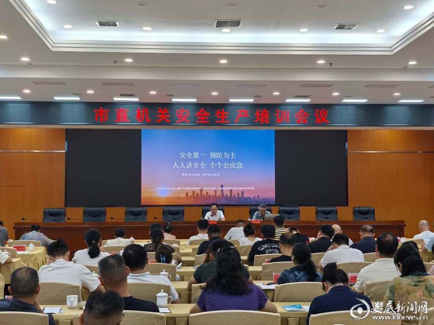 图片6