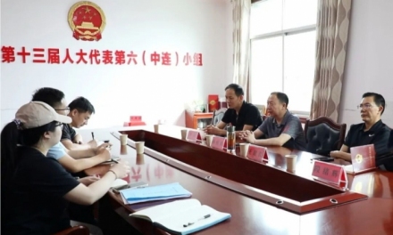 冷水江市人大常委会调研民生实事项目人大代表票决制工作