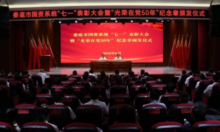 娄底市国资系统举行“七一”表彰大会暨“光荣在党50年”纪念章颁发仪式