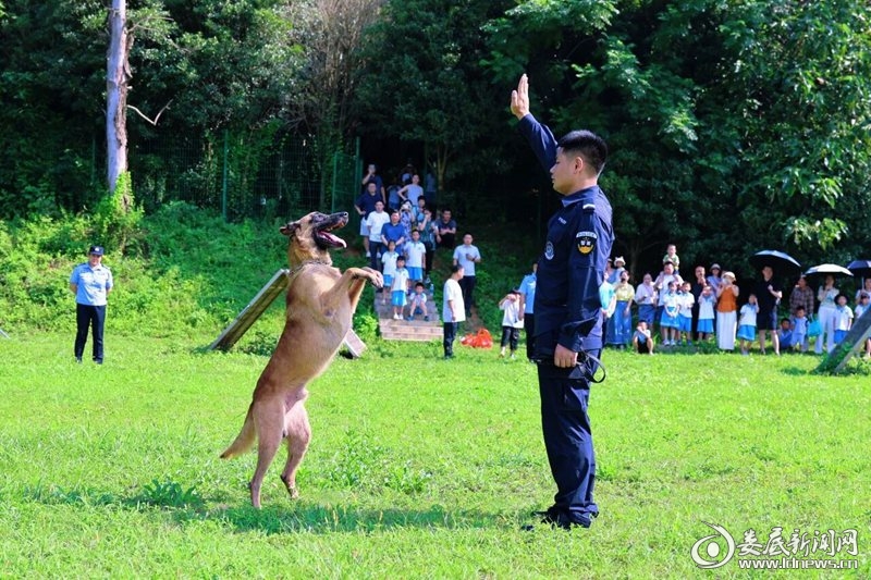 微信图片_2026-07-27_112403_930