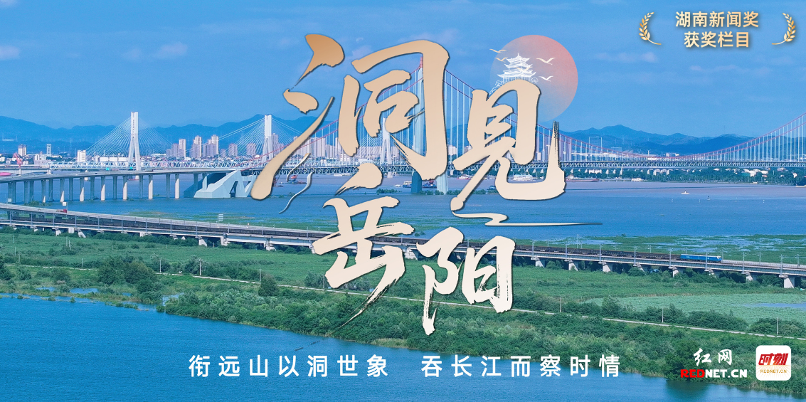 洞见文中图.png 洞见文中图.png