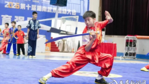 娄底一中健儿斩获湖南省第十届武术运动会12金7银6铜