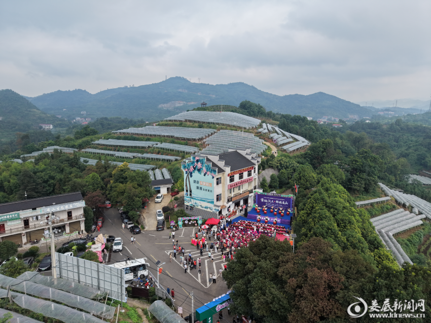图片3