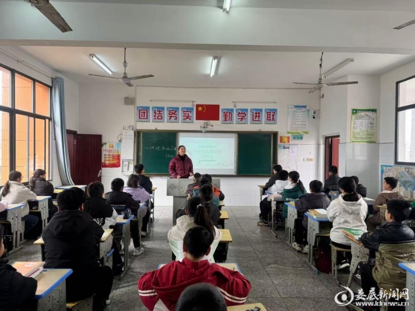 图片5