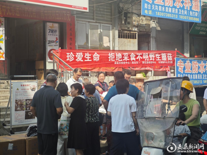 图片4