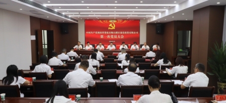 娄底梅山建投：凝心聚力谋发展 笃行实干开新局