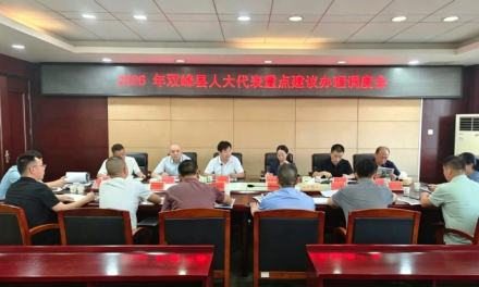 双峰县召开人大代表重点建议办理调度会 推进平交路口提质改造