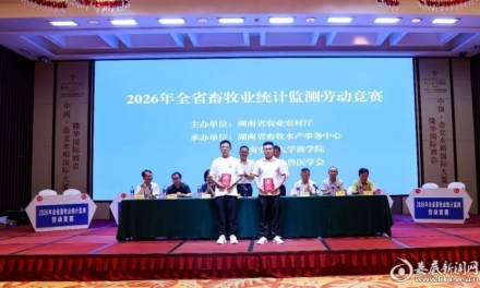 喜报：娄底市代表队在全省畜牧业统计监测劳动竞赛中荣获佳绩