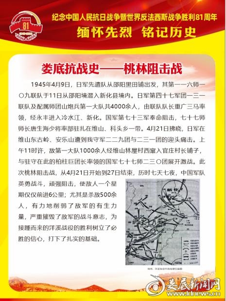 图片6