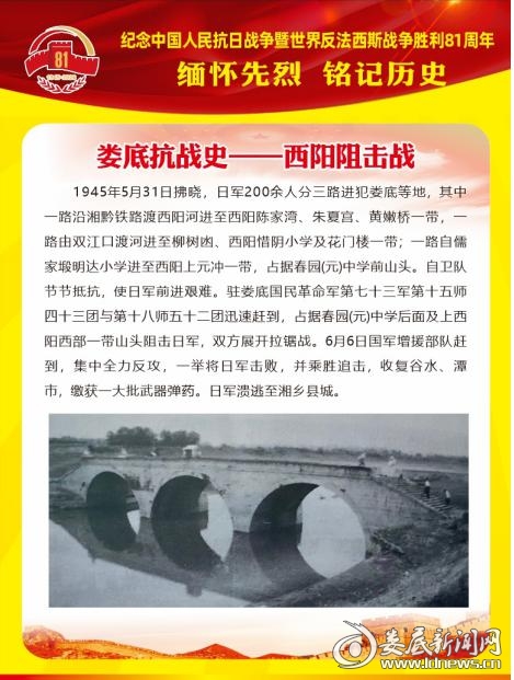 图片8