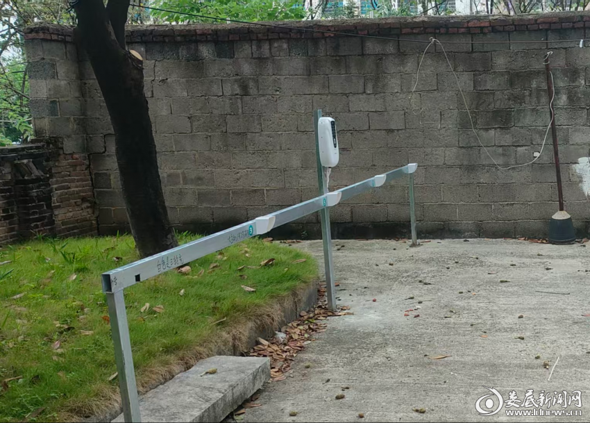 图片1