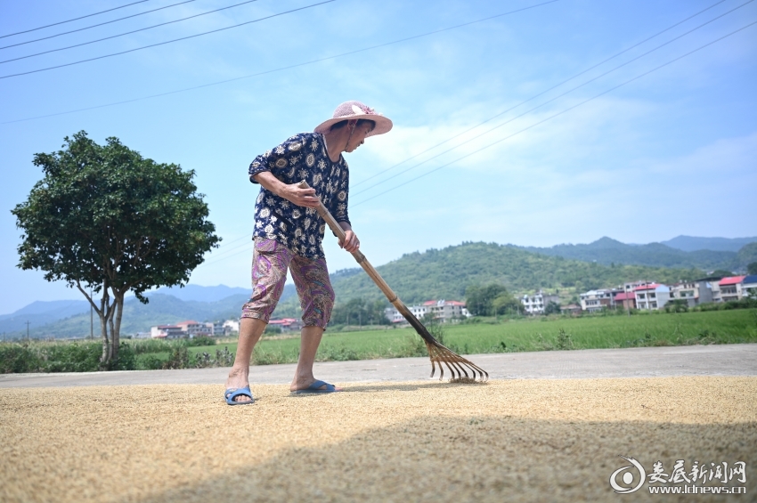 微信图片_20260913135929_301_191