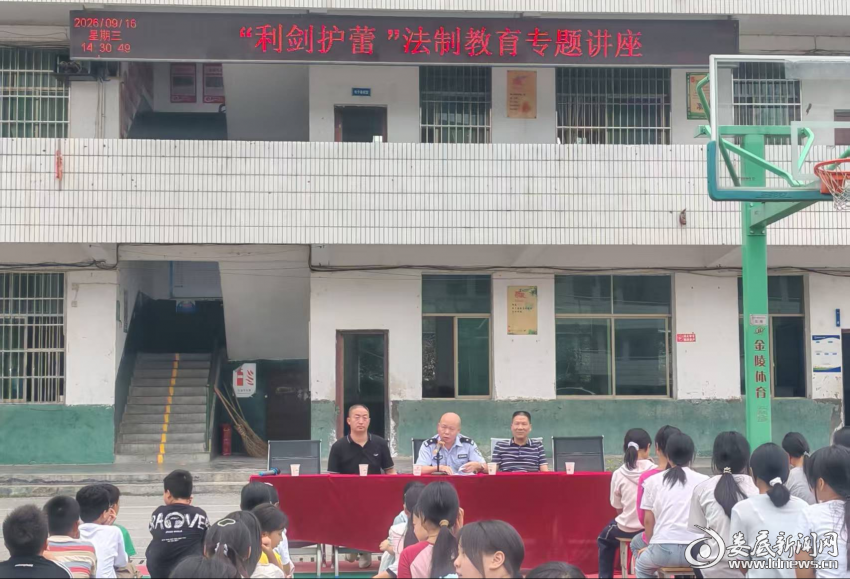 龙