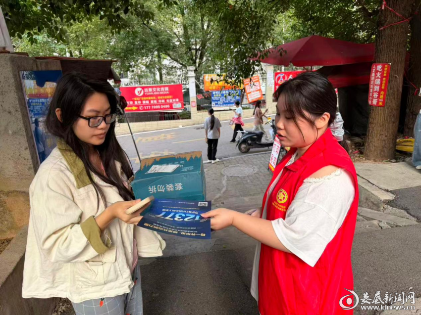 图片8