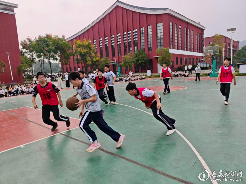 图片1