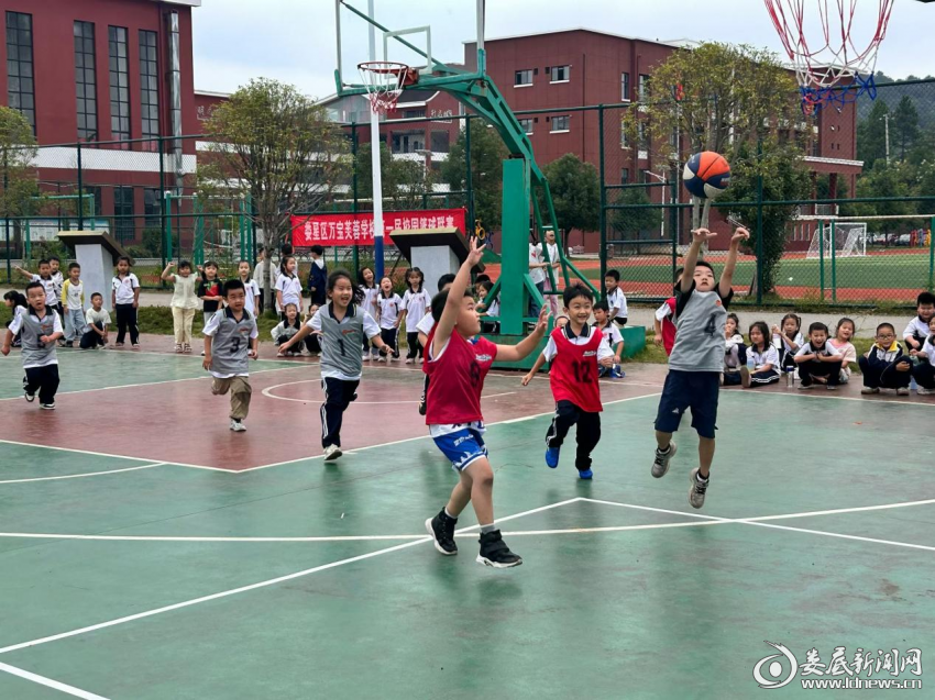 图片2
