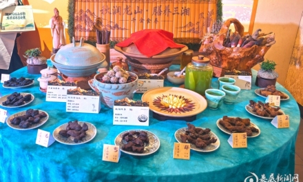 秋润龙山，膳养三湘——娄底代表队荣获湖南省首届药膳大赛团体金奖