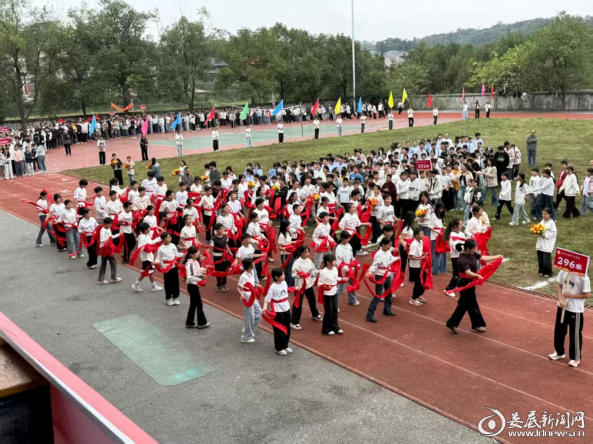 图片11