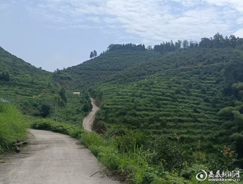 微信图片_20261019144605_27_111