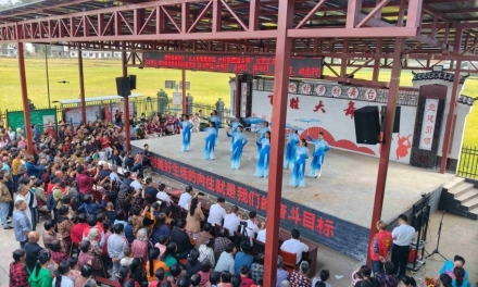 重阳汇演庆佳节  特色产业富山乡——娄底市市场监管局驻龙吟村帮扶工作纪实