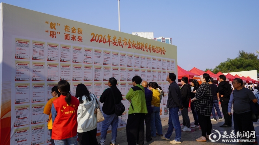 “就”在金秋  “职”面未来丨娄底金秋招聘月专场招聘会搭起就业“连心桥”