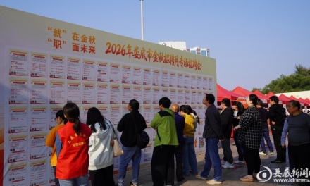 “就”在金秋  “职”面未来丨娄底金秋招聘月专场招聘会搭起就业“连心桥”